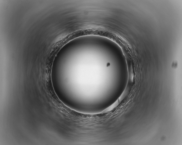 X0000099450869200805091503