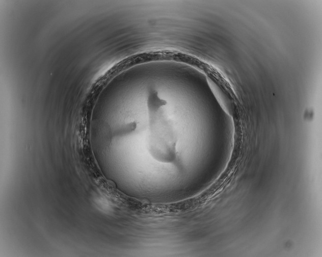 X0000099450871200805091503