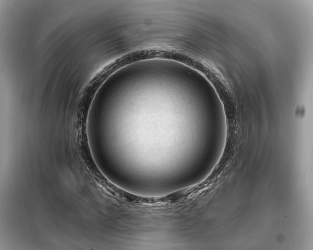 X0000099450872200805091503