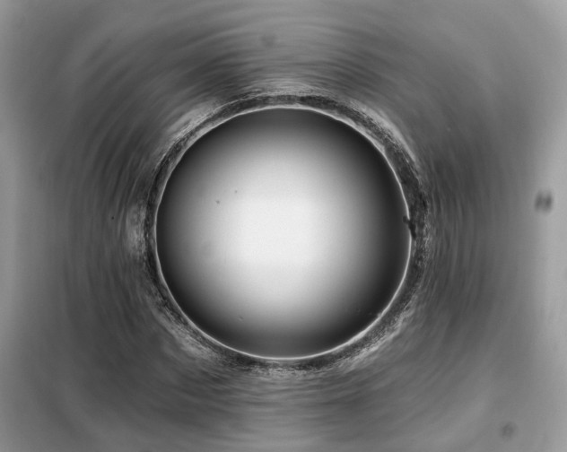 X0000099450873200805091503