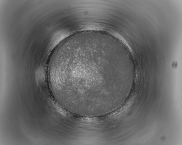 X0000099450874200805091503