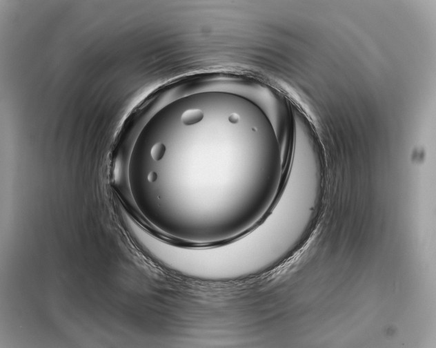 X0000099450875200805091503