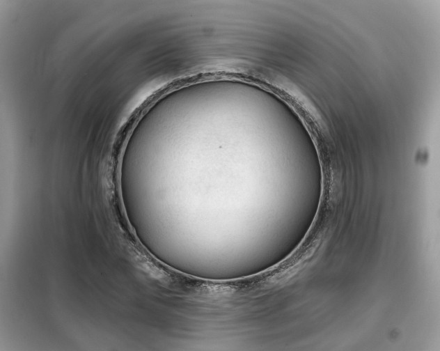 X0000099450878200805091503