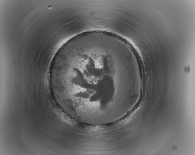 X0000099450879200805091503