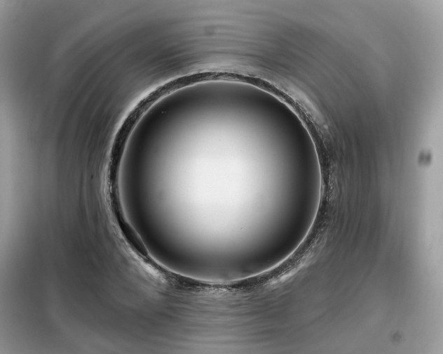 X0000099450880200805091503