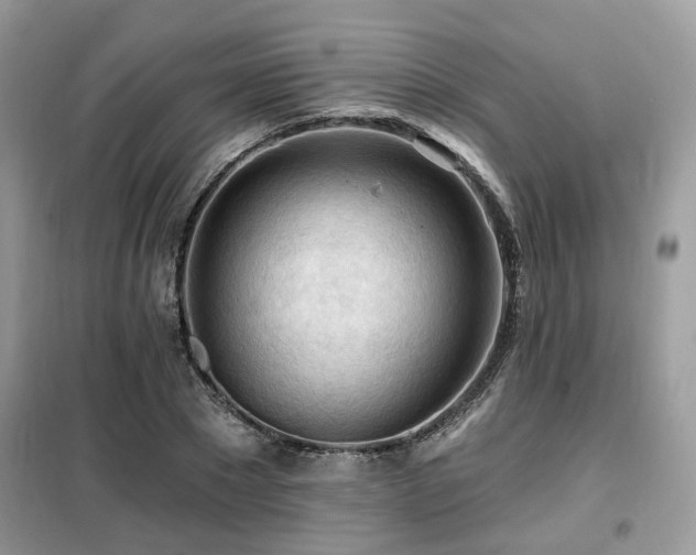 X0000099450881200805091503