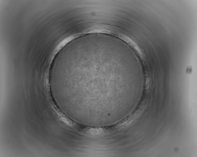 X0000099450882200805091503