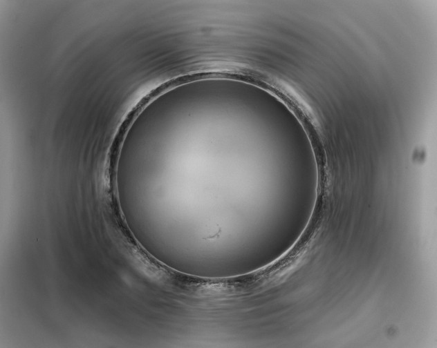 X0000099450883200805091503