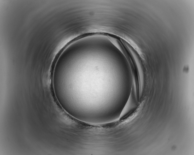 X0000099450885200805091503