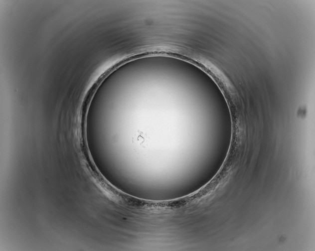 X0000099450886200805091503