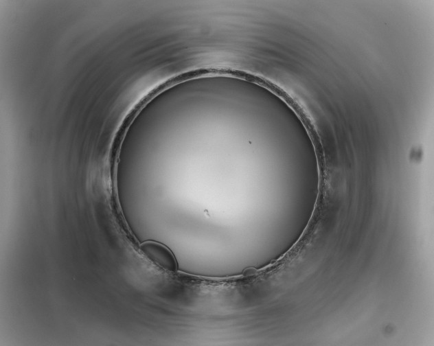 X0000099450887200805091503