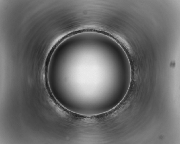 X0000099450888200805091503