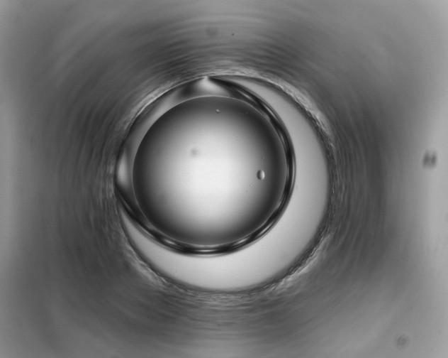X0000099450889200805091503