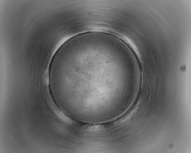 X0000099450891200805091503