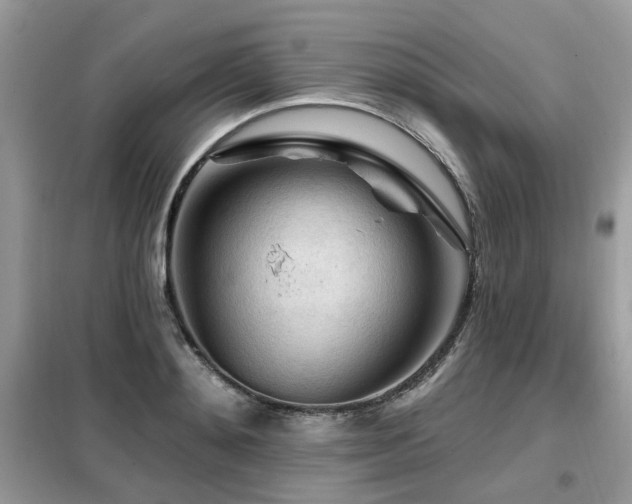 X0000099450892200805091503