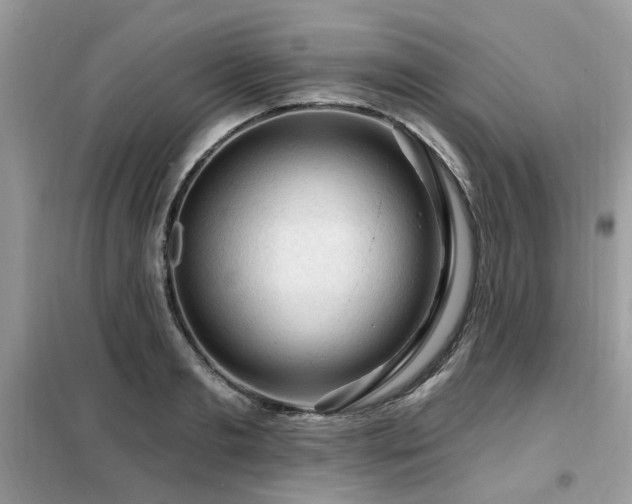 X0000099450893200805091503
