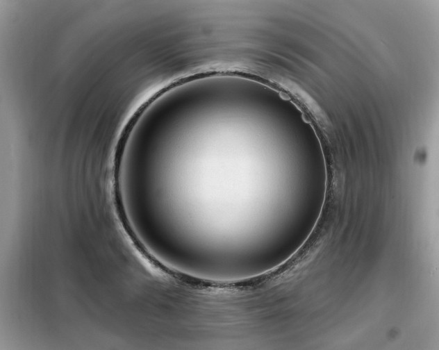 X0000099450894200805091503
