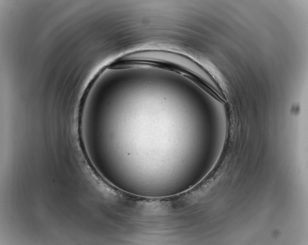 X0000099450896200805091503
