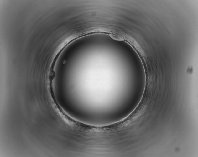 X0000099450898200805091503