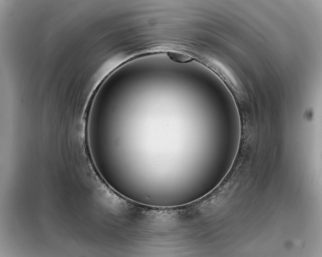 X0000099450900200805091503