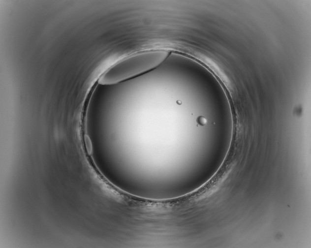 X0000099450901200805091503