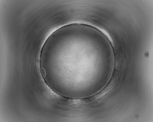 X0000099450903200805091503