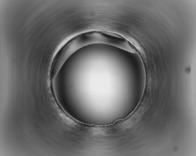 X0000099450904200805091503
