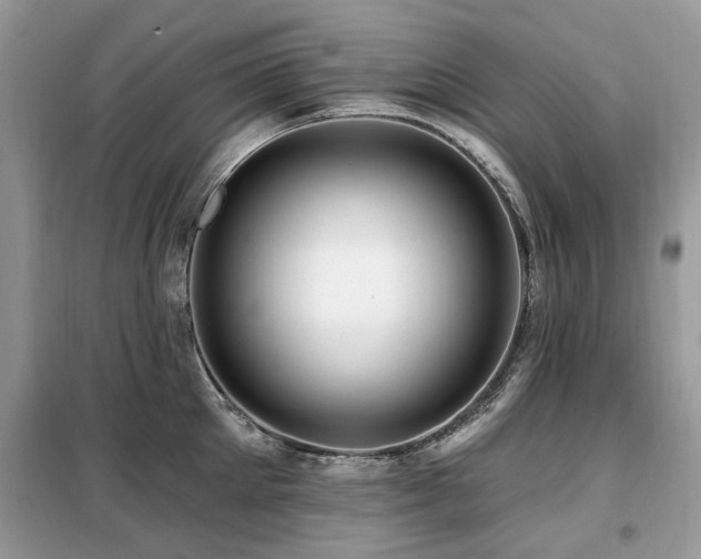 X0000099450905200805091503