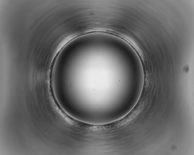 X0000099450906200805091503