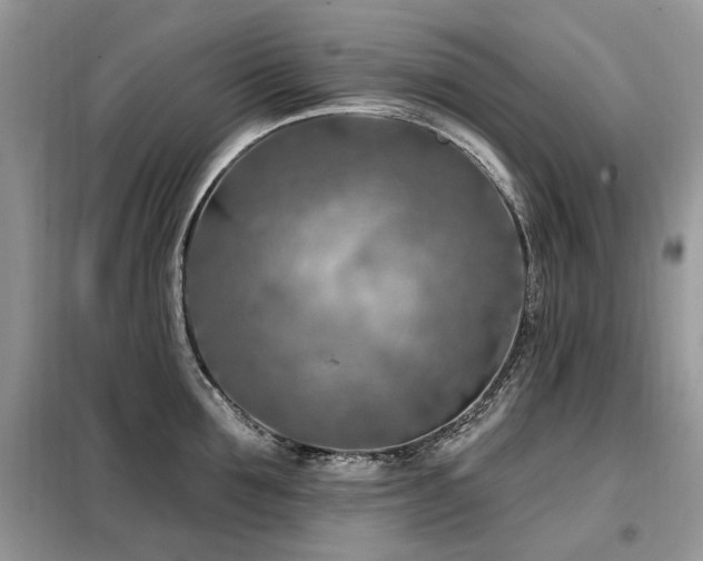 X0000099450907200805091503