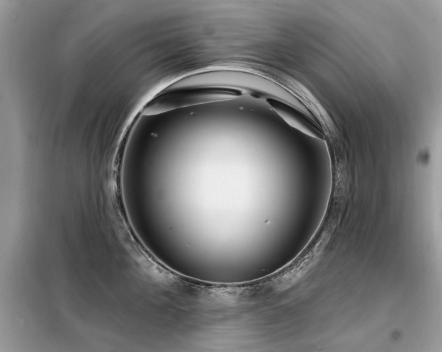 X0000099450908200805091503