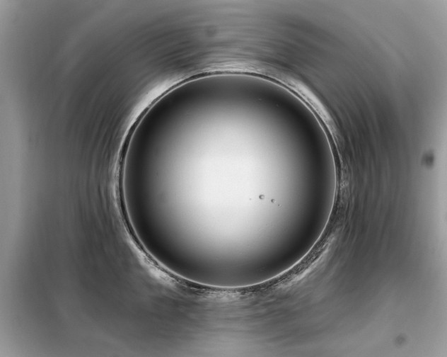 X0000099450909200805091503