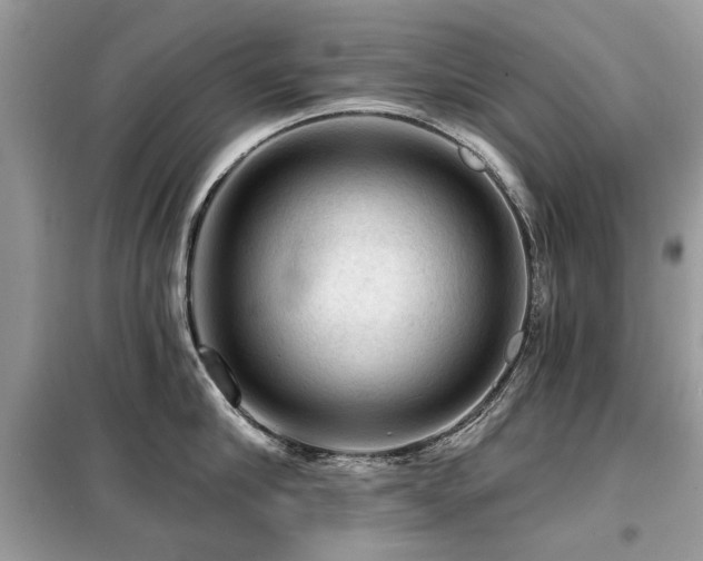 X0000099450910200805091503