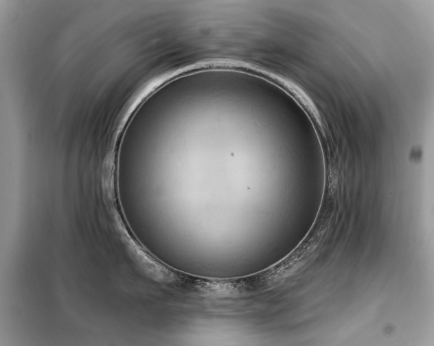 X0000099450911200805091503