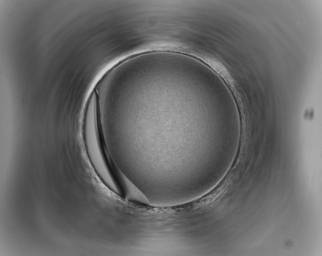 X0000099450912200805091503