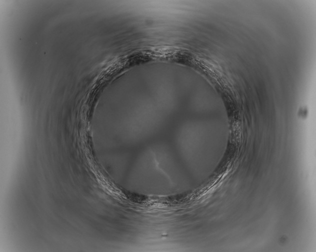 X0000099450913200805091502