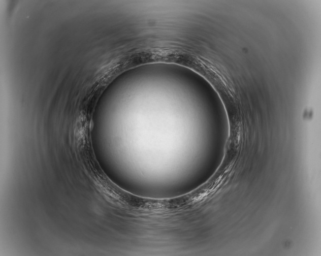 X0000099450914200805091502