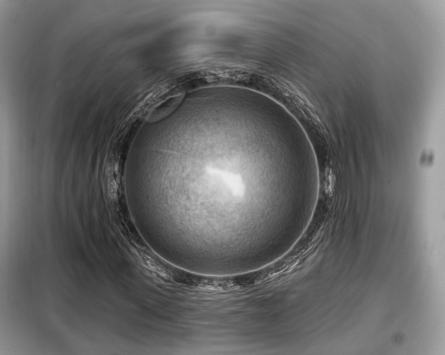 X0000099450915200805091502