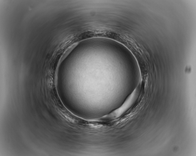 X0000099450916200805091502