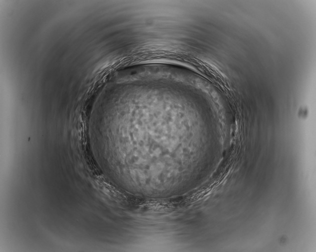 X0000099450917200805091502
