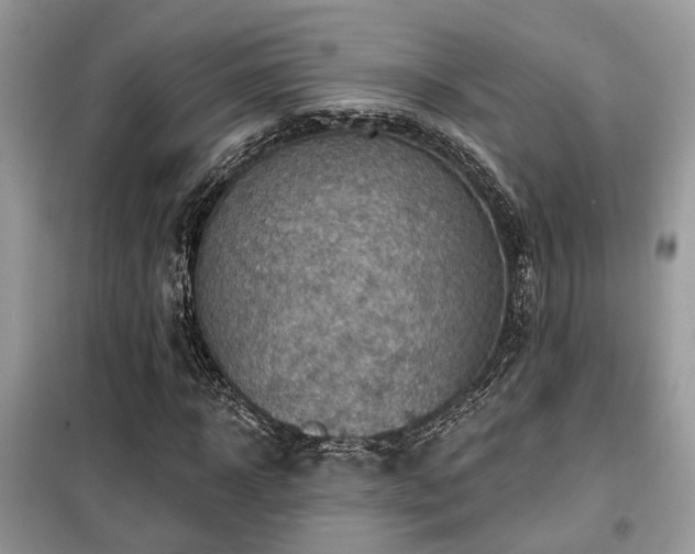 X0000099450918200805091502