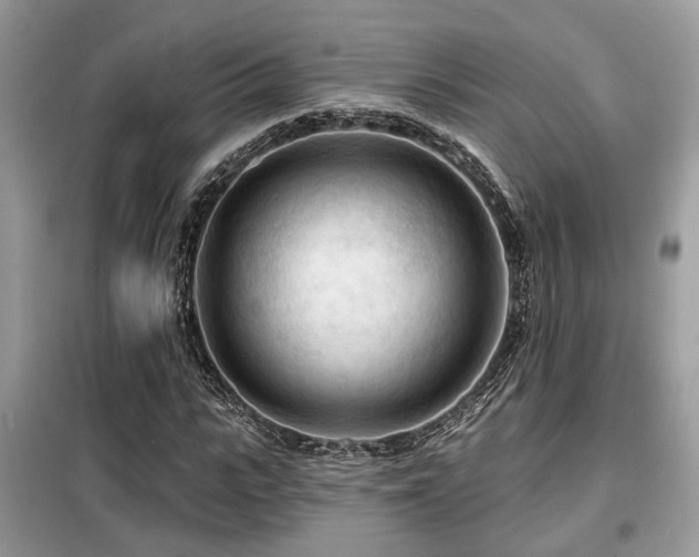 X0000099450919200805091502