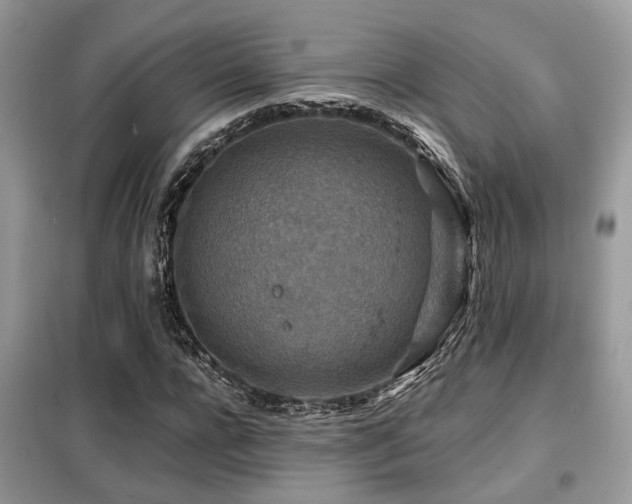 X0000099450920200805091502