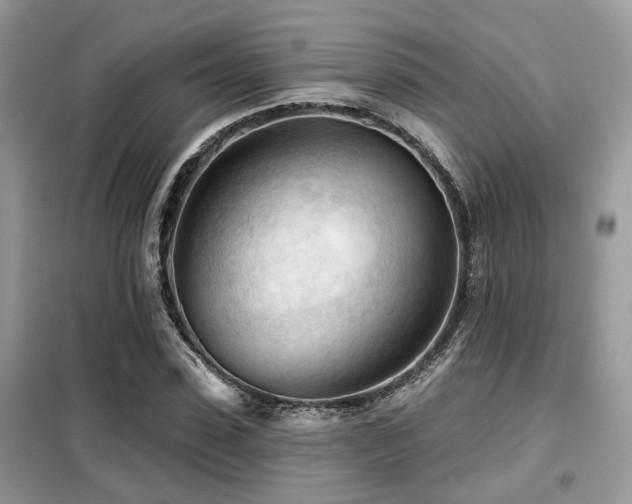 X0000099450923200805091502