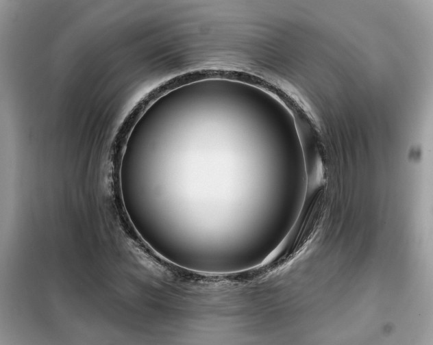 X0000099450926200805091502