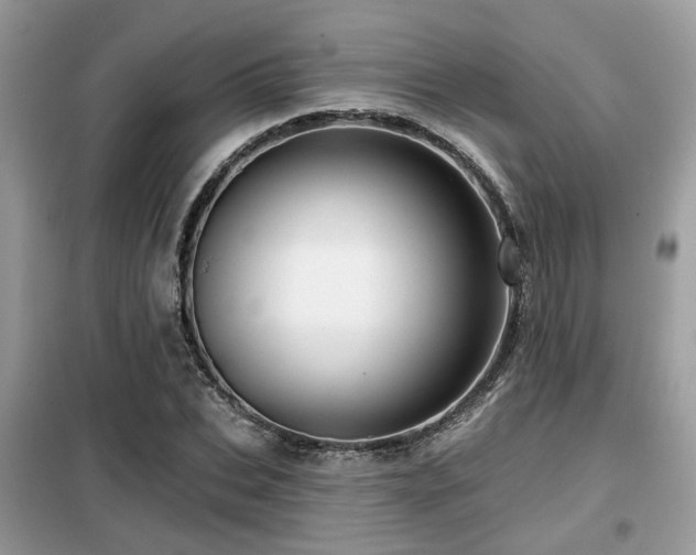 X0000099450927200805091502