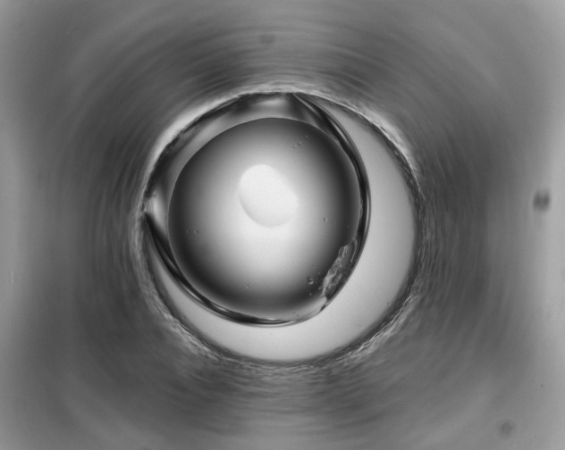 X0000099450928200805091502