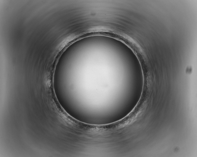 X0000099450929200805091502