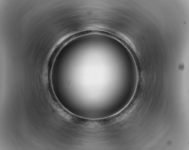 X0000099450931200805091502
