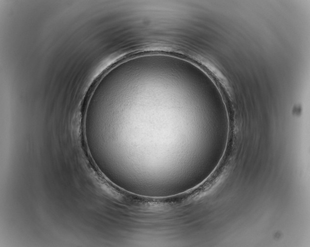 X0000099450933200805091502